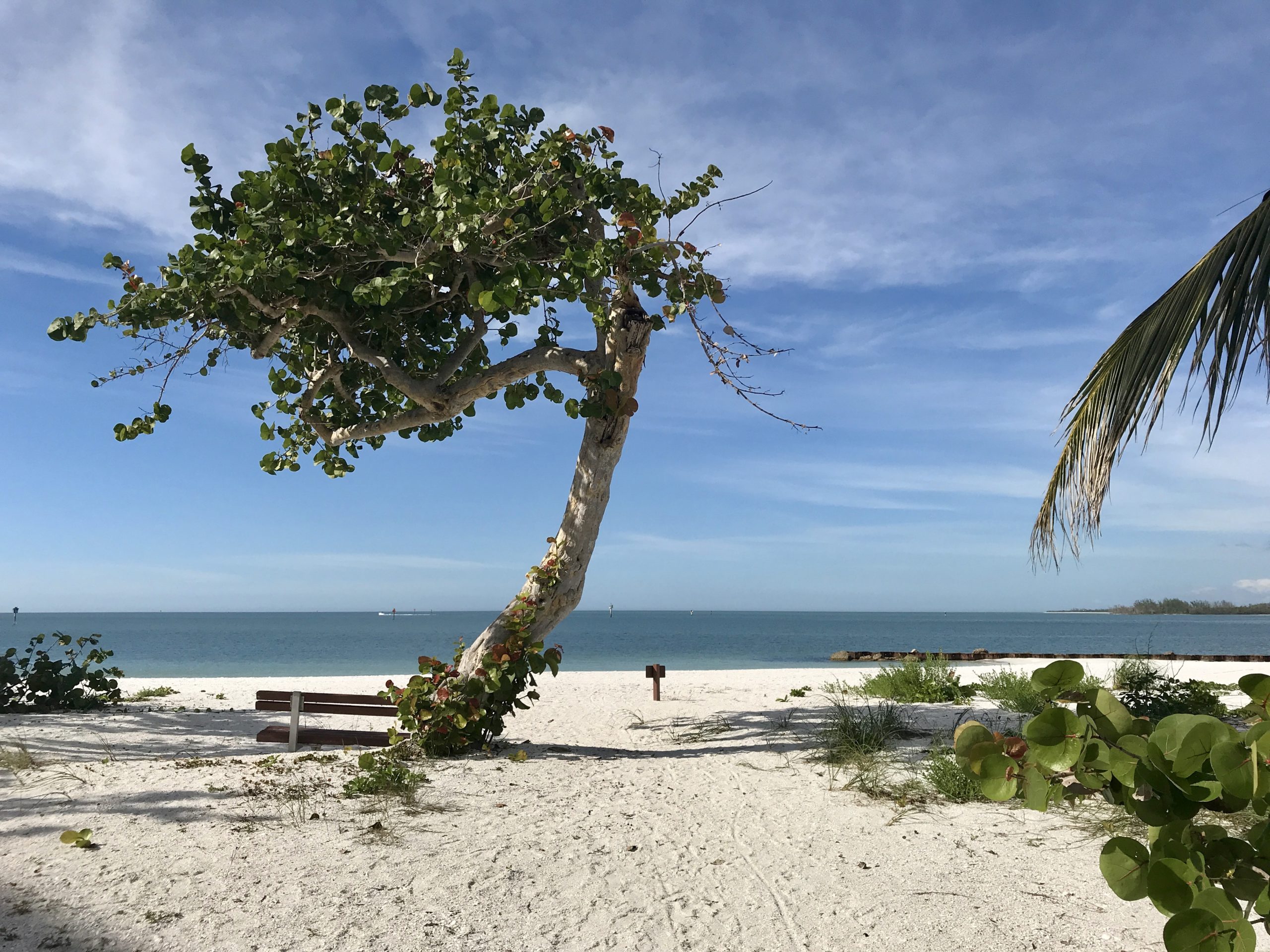 Essential Guide to Shelling on Marco Island (Tours, Best Time to Go + More)  — Naples Florida Travel Guide